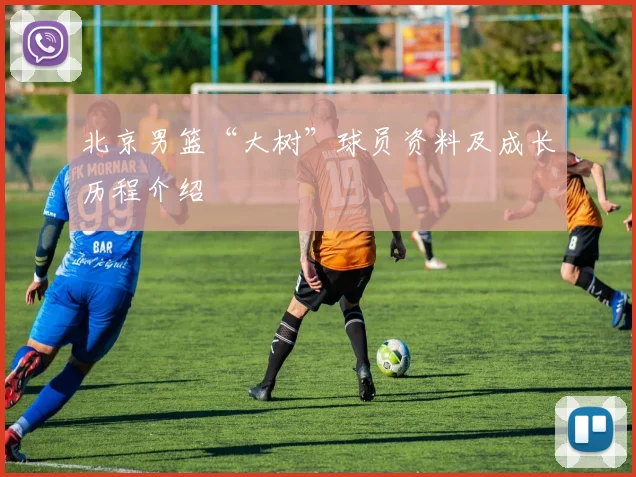 北京男篮“大树”球员资料及成长历程介绍